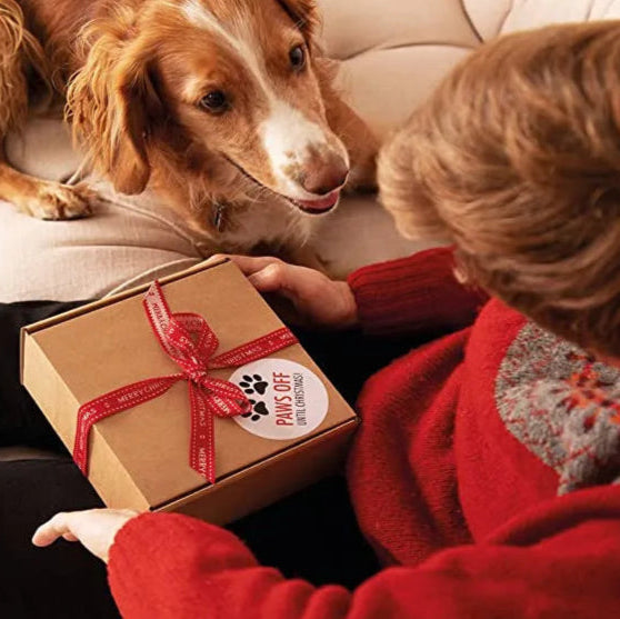 Dog Training Anti Dog Bark Deterrent Rechargeable Device w/LED Flashlight