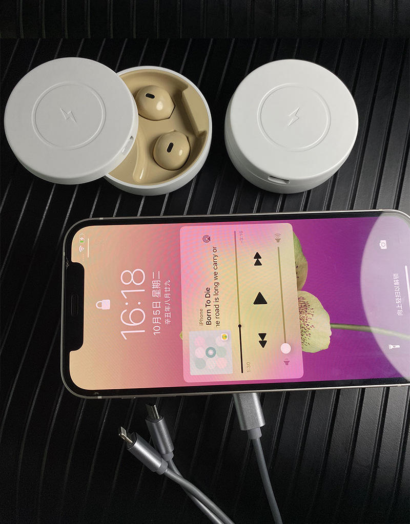 Bluetooth 5.1 Ear Buds Charging Station