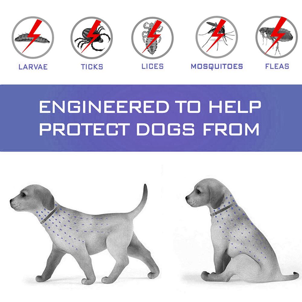 Outdoor Adjustable Anti Flea MosquitoesTicks Pet Collar